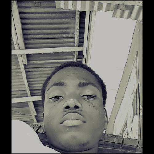 Peter A. profile photo