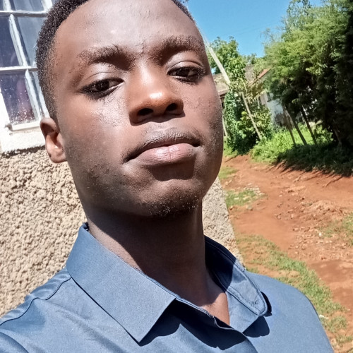 Daniel N. profile photo
