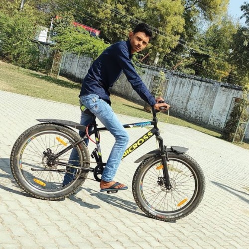 Ankush P.