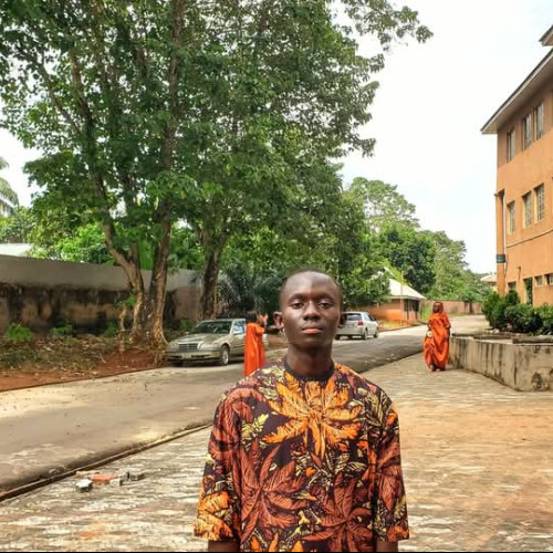 Ugochukwu  P. profile photo