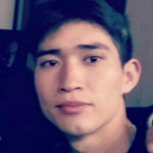 Ali M. profile photo