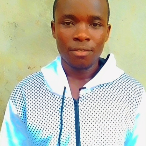 Emmanuel  O. profile photo
