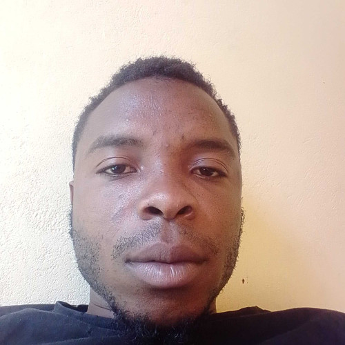 stuart m. profile photo