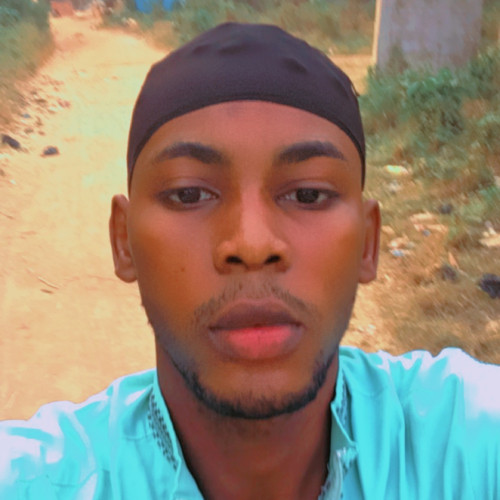 Olamilekan  O. profile photo