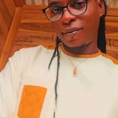 Owoleke akin  E. profile photo