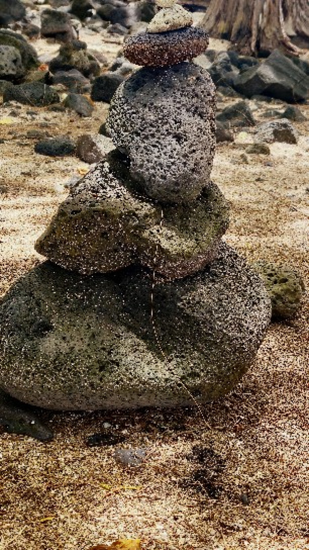 racf Bonnie W. photo gallery