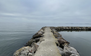 racf JEAN MODESTE  H. photo gallery