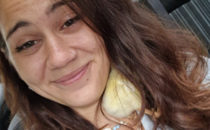 racf Cisa M. photo gallery