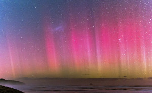 racf Catarina W. photo gallery