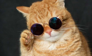 racf Ana F. photo gallery