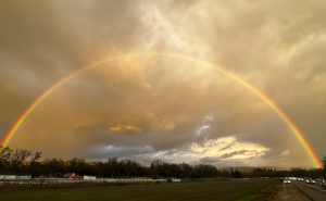 racf Cedar B. photo gallery