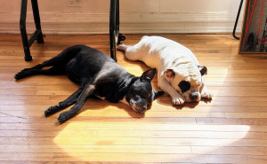 racf Pryce D. photo gallery