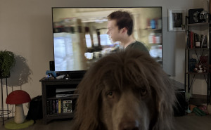 racf Lucas M. photo gallery