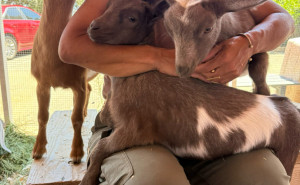 racf Stephanie L. photo gallery