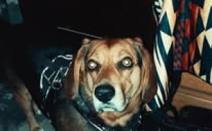 racf Tiffany T. photo gallery