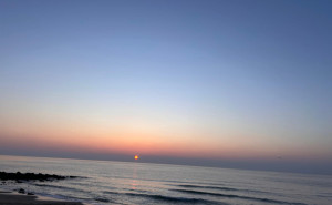 racf Velimira V. photo gallery