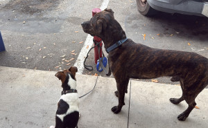 racf Sasha L. photo gallery