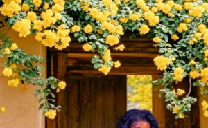 racf champagne P. photo gallery