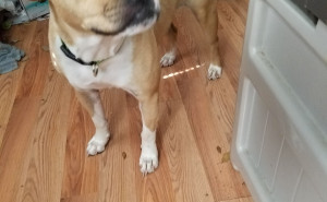 racf Windy Lyree T. photo gallery