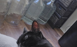 racf BRENDA L. photo gallery