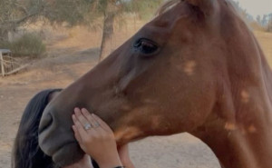 racf MARIA S. photo gallery