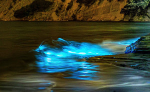 racf Catarina W. photo gallery