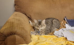 racf Windy Lyree T. photo gallery