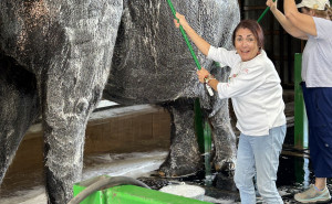 racf Christine C. photo gallery