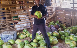 racf James N. photo gallery