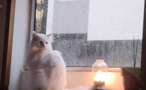 racf Nathan K. photo gallery