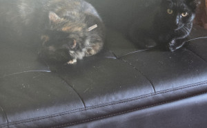 racf Edgar R. photo gallery