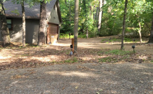 racf Windy Lyree T. photo gallery