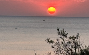 racf Steve T. photo gallery