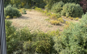 racf Meghan M. photo gallery