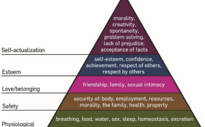 racf Sens R. photo gallery